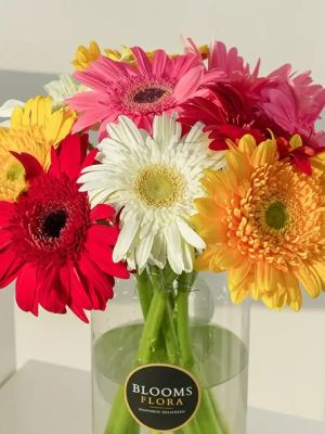  Malatya Çiçek Siparişi - 20 Kırmızı Gül Buketi